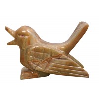 Kuş